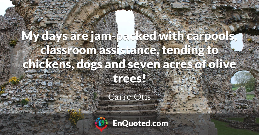 My days are jam-packed with carpools, classroom assistance, tending to chickens, dogs and seven acres of olive trees!