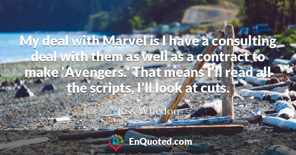 My deal with Marvel is I have a consulting deal with them as well as a contract to make 'Avengers.' That means I'll read all the scripts, I'll look at cuts.