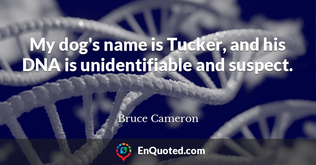 My dog's name is Tucker, and his DNA is unidentifiable and suspect.