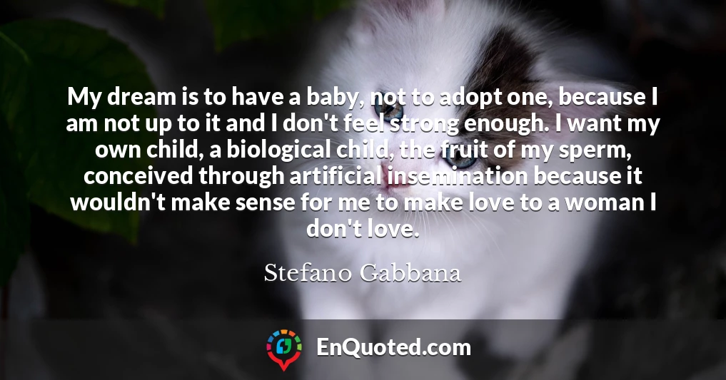 My dream is to have a baby, not to adopt one, because I am not up to it and I don't feel strong enough. I want my own child, a biological child, the fruit of my sperm, conceived through artificial insemination because it wouldn't make sense for me to make love to a woman I don't love.