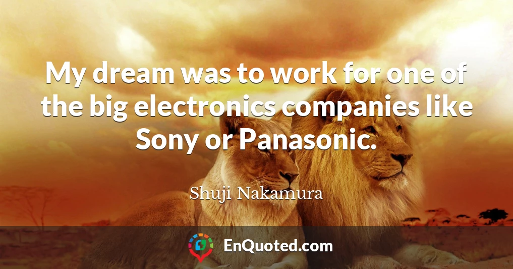 My dream was to work for one of the big electronics companies like Sony or Panasonic.