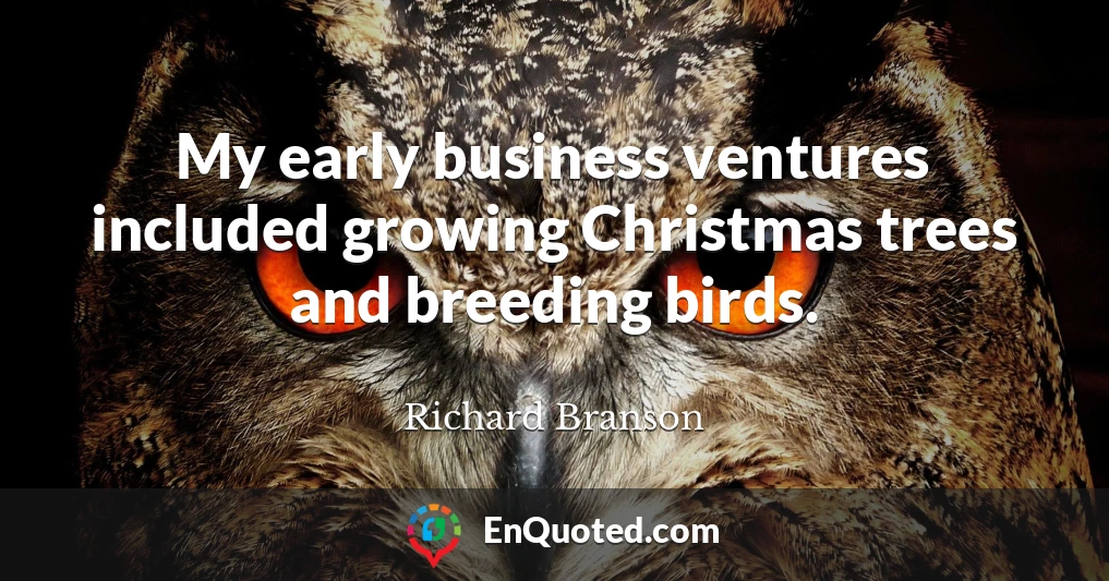 My early business ventures included growing Christmas trees and breeding birds.