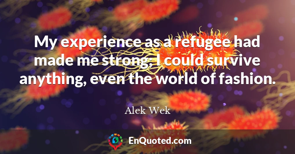 My experience as a refugee had made me strong; I could survive anything, even the world of fashion.