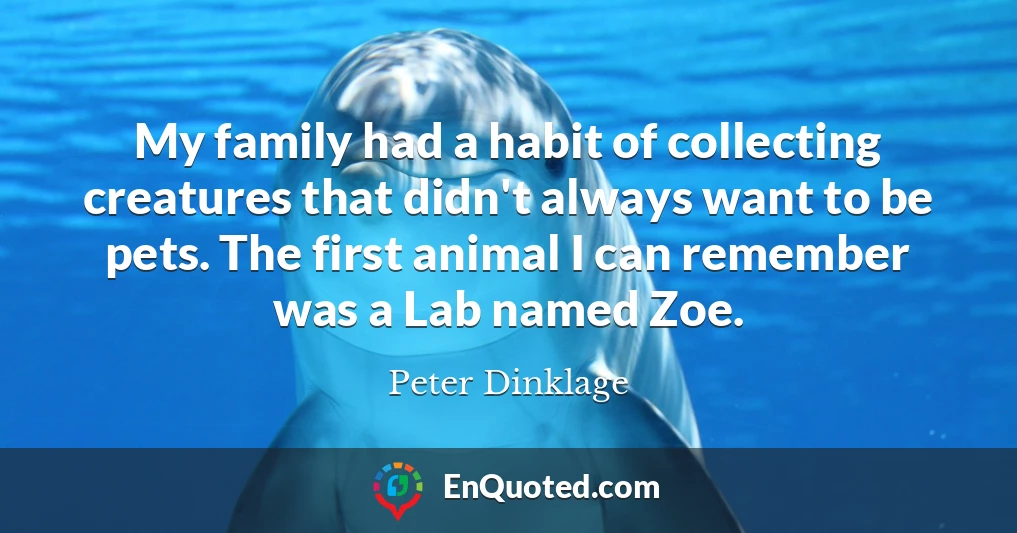 My family had a habit of collecting creatures that didn't always want to be pets. The first animal I can remember was a Lab named Zoe.