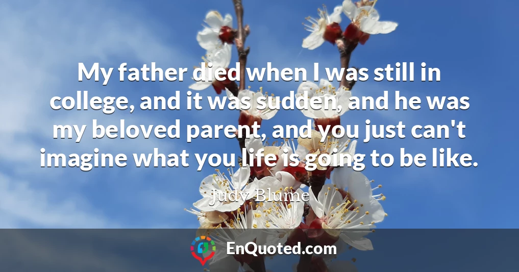 My father died when I was still in college, and it was sudden, and he was my beloved parent, and you just can't imagine what you life is going to be like.