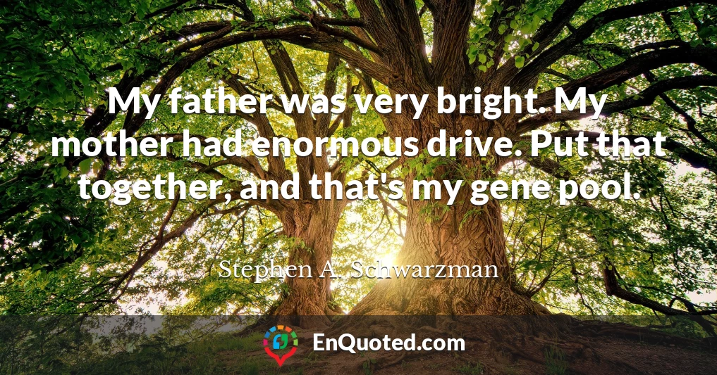 My father was very bright. My mother had enormous drive. Put that together, and that's my gene pool.
