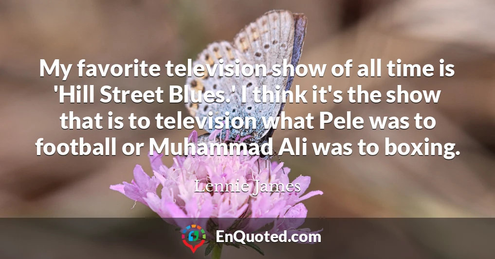 My favorite television show of all time is 'Hill Street Blues.' I think it's the show that is to television what Pele was to football or Muhammad Ali was to boxing.