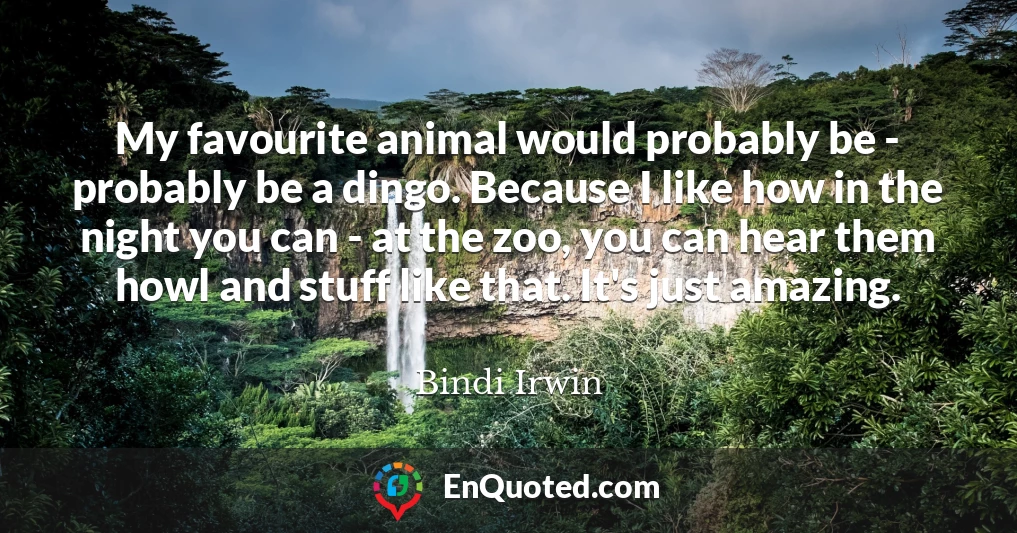 My favourite animal would probably be - probably be a dingo. Because I like how in the night you can - at the zoo, you can hear them howl and stuff like that. It's just amazing.