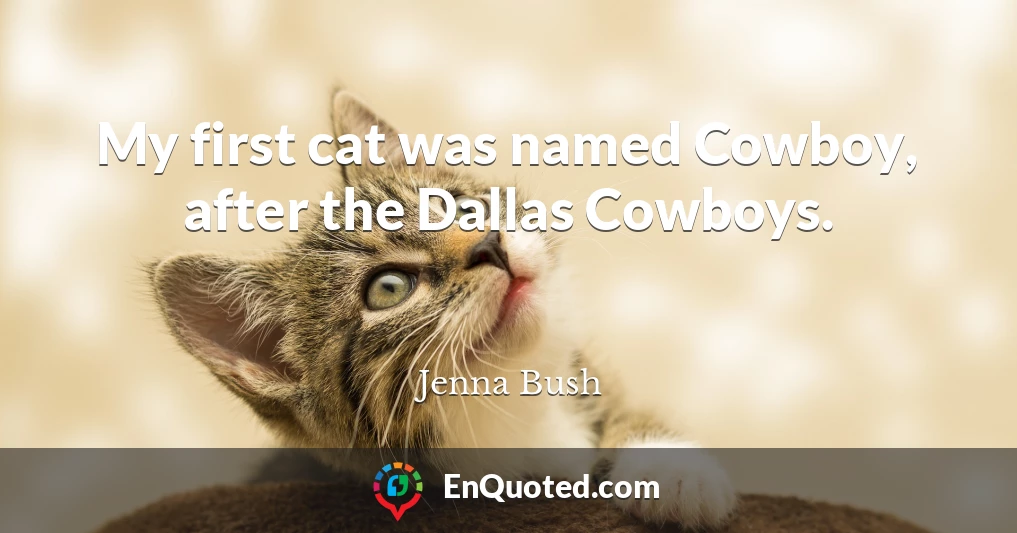 My first cat was named Cowboy, after the Dallas Cowboys.