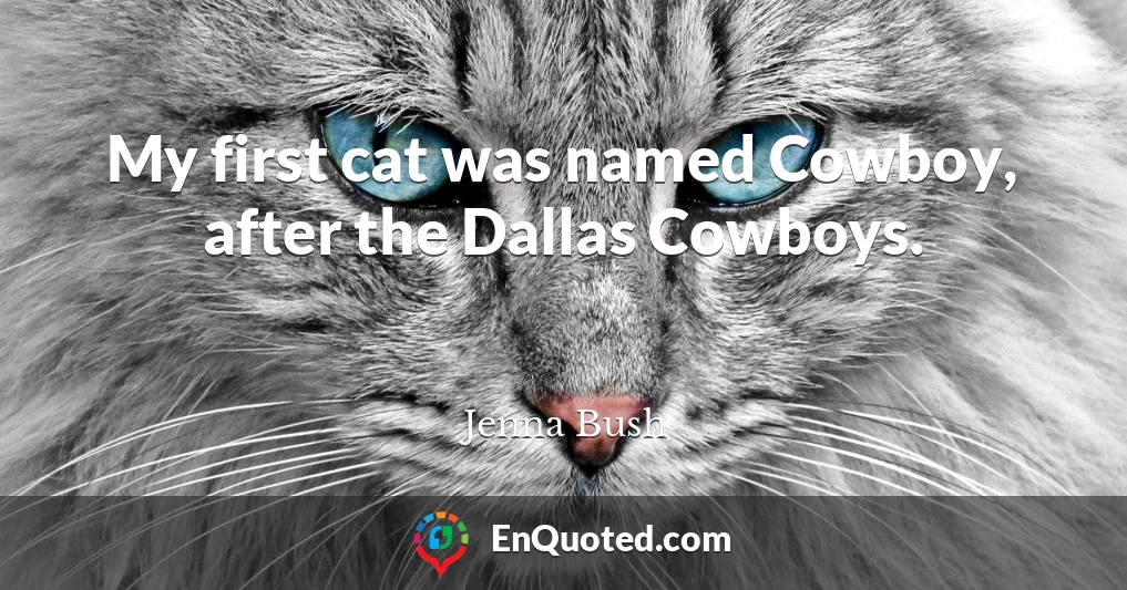 My first cat was named Cowboy, after the Dallas Cowboys.