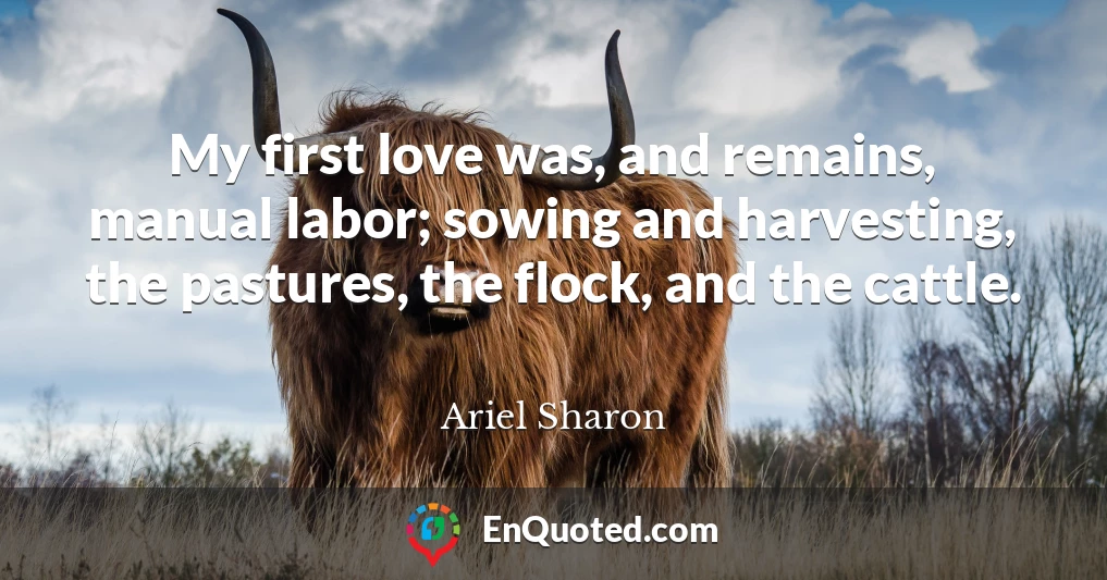 My first love was, and remains, manual labor; sowing and harvesting, the pastures, the flock, and the cattle.
