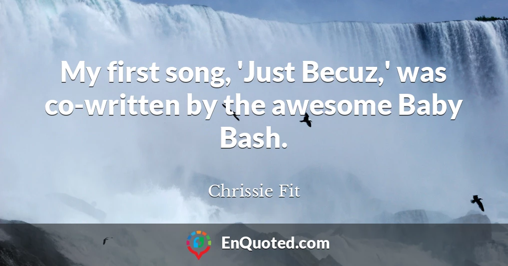 My first song, 'Just Becuz,' was co-written by the awesome Baby Bash.
