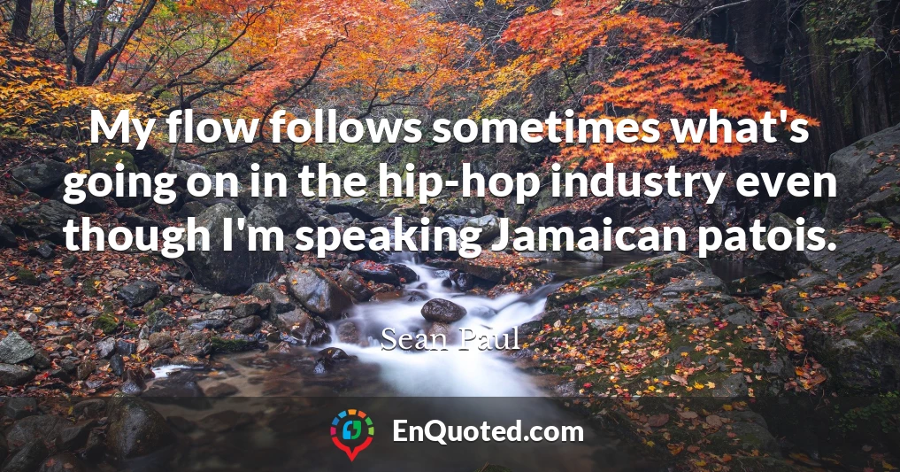 My flow follows sometimes what's going on in the hip-hop industry even though I'm speaking Jamaican patois.