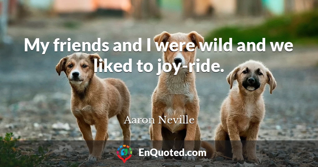 My friends and I were wild and we liked to joy-ride.