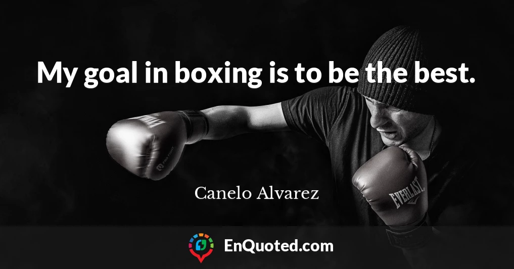 My goal in boxing is to be the best.