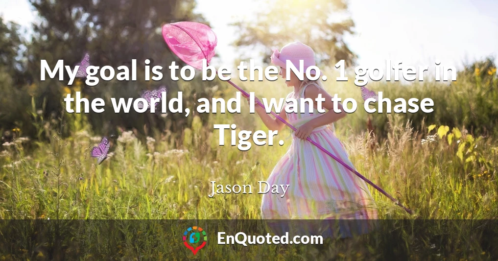 My goal is to be the No. 1 golfer in the world, and I want to chase Tiger.