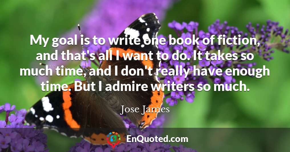 My goal is to write one book of fiction, and that's all I want to do. It takes so much time, and I don't really have enough time. But I admire writers so much.