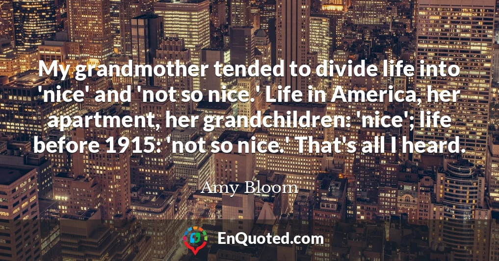 My grandmother tended to divide life into 'nice' and 'not so nice.' Life in America, her apartment, her grandchildren: 'nice'; life before 1915: 'not so nice.' That's all I heard.