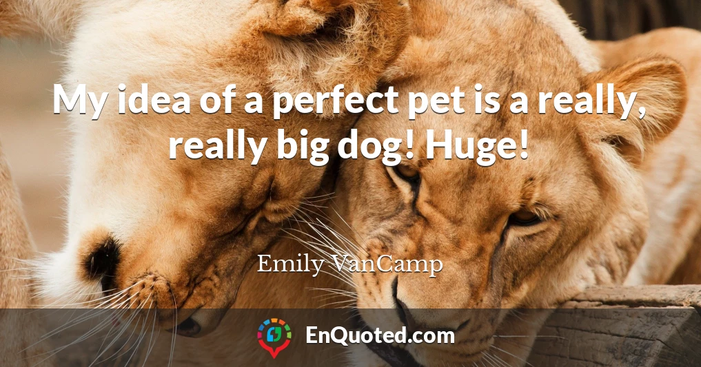 My idea of a perfect pet is a really, really big dog! Huge!