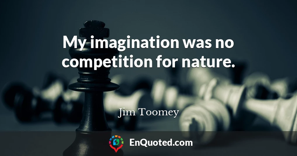 My imagination was no competition for nature.