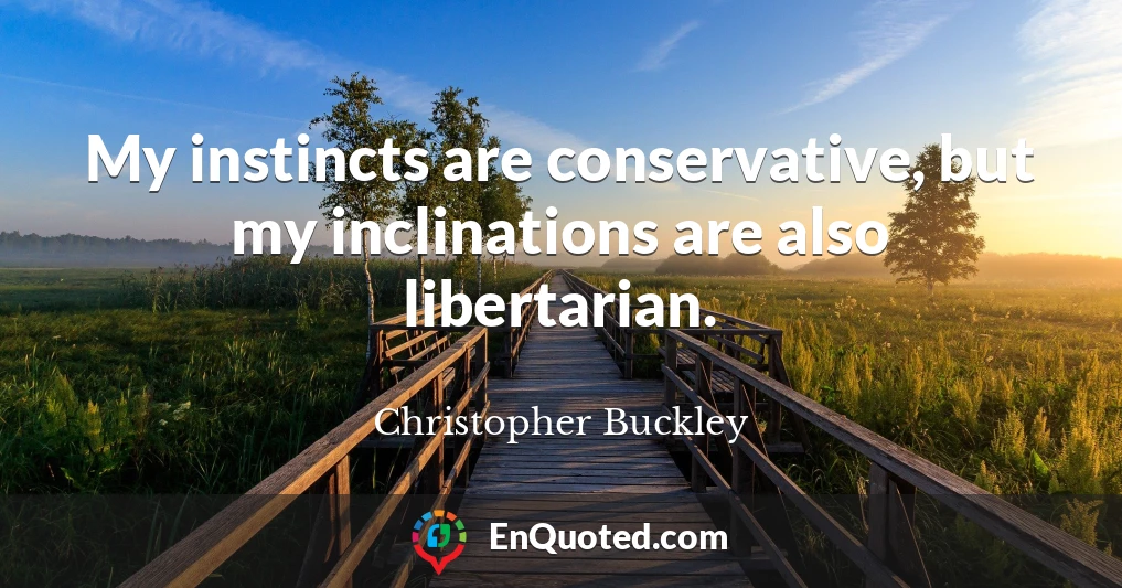 My instincts are conservative, but my inclinations are also libertarian.