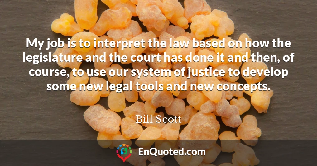 My job is to interpret the law based on how the legislature and the court has done it and then, of course, to use our system of justice to develop some new legal tools and new concepts.