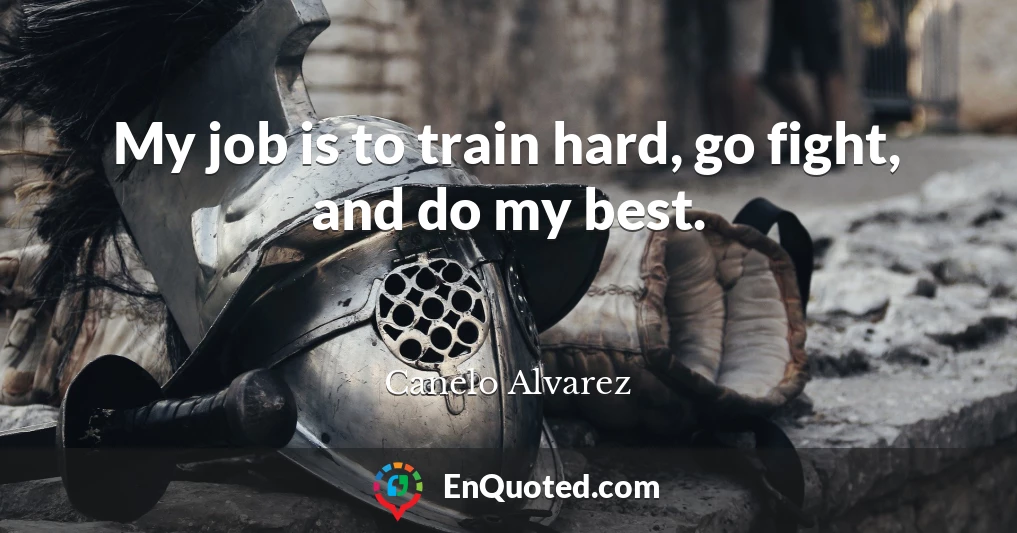 My job is to train hard, go fight, and do my best.