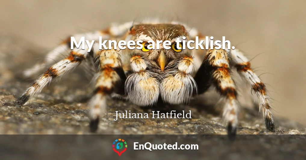 My knees are ticklish.