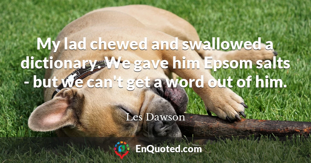 My lad chewed and swallowed a dictionary. We gave him Epsom salts - but we can't get a word out of him.