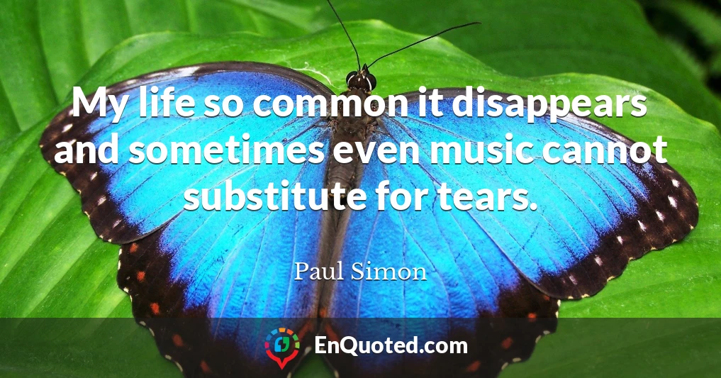 My life so common it disappears and sometimes even music cannot substitute for tears.