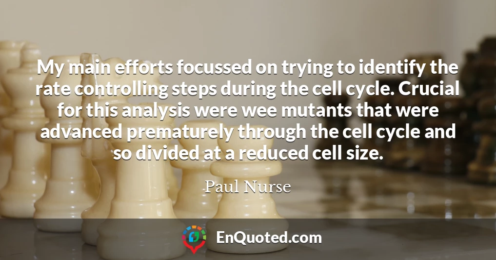 My main efforts focussed on trying to identify the rate controlling steps during the cell cycle. Crucial for this analysis were wee mutants that were advanced prematurely through the cell cycle and so divided at a reduced cell size.