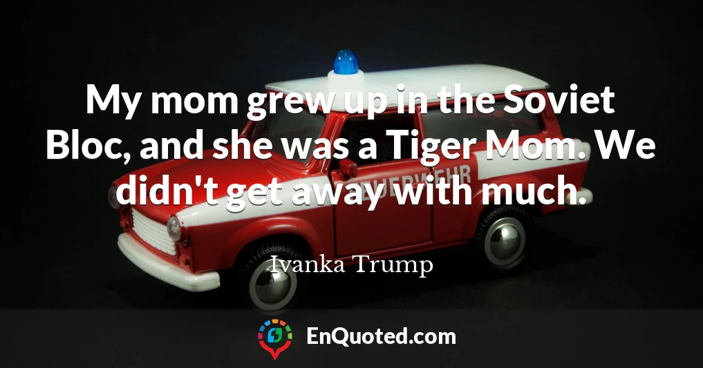 My mom grew up in the Soviet Bloc, and she was a Tiger Mom. We didn't get away with much.