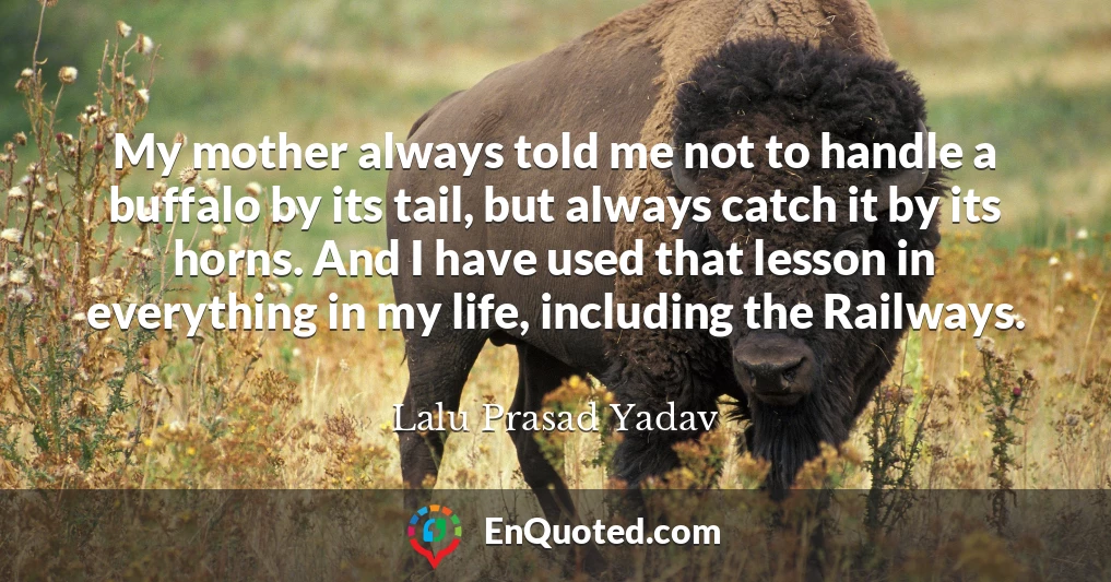 My mother always told me not to handle a buffalo by its tail, but always catch it by its horns. And I have used that lesson in everything in my life, including the Railways.