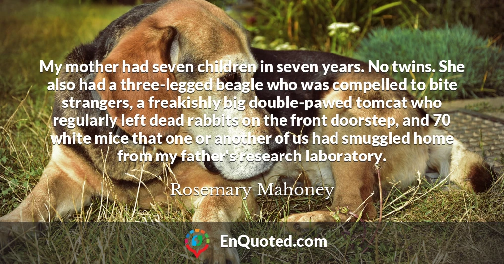 My mother had seven children in seven years. No twins. She also had a three-legged beagle who was compelled to bite strangers, a freakishly big double-pawed tomcat who regularly left dead rabbits on the front doorstep, and 70 white mice that one or another of us had smuggled home from my father's research laboratory.