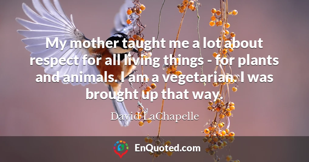 My mother taught me a lot about respect for all living things - for plants and animals. I am a vegetarian. I was brought up that way.