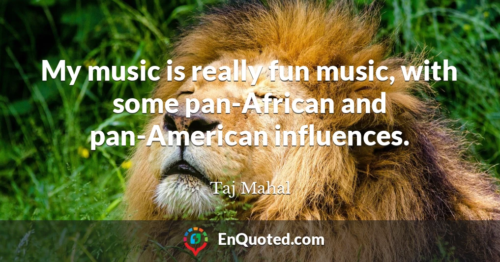 My music is really fun music, with some pan-African and pan-American influences.