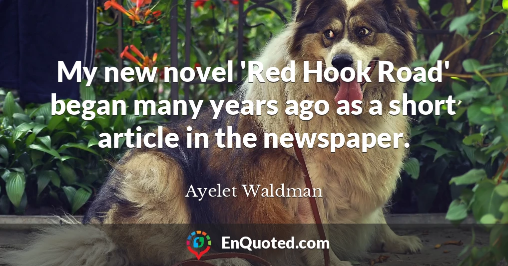 My new novel 'Red Hook Road' began many years ago as a short article in the newspaper.