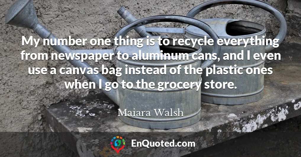 My number one thing is to recycle everything from newspaper to aluminum cans, and I even use a canvas bag instead of the plastic ones when I go to the grocery store.