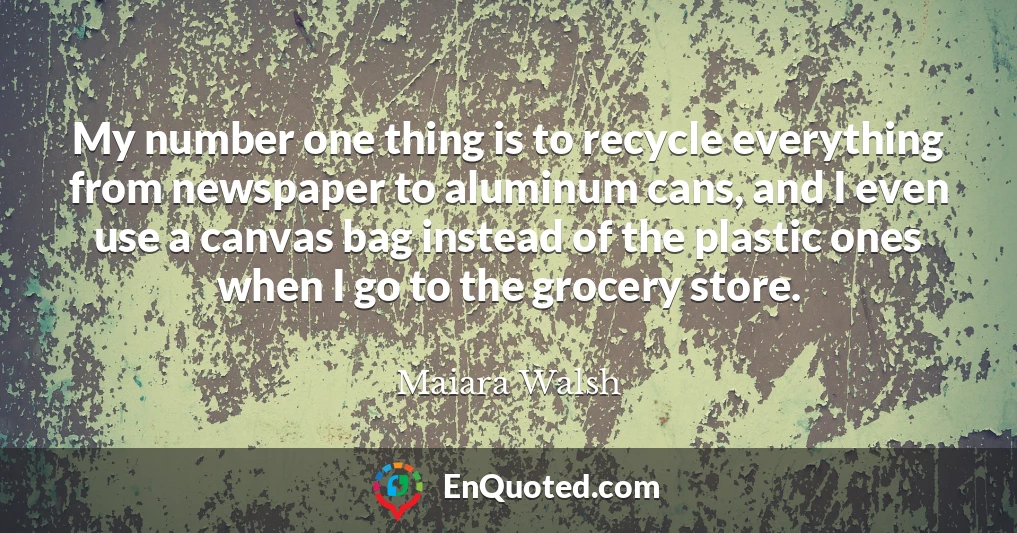 My number one thing is to recycle everything from newspaper to aluminum cans, and I even use a canvas bag instead of the plastic ones when I go to the grocery store.