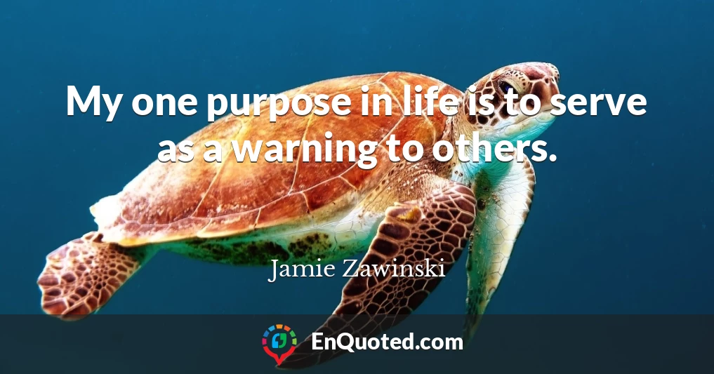 My one purpose in life is to serve as a warning to others.