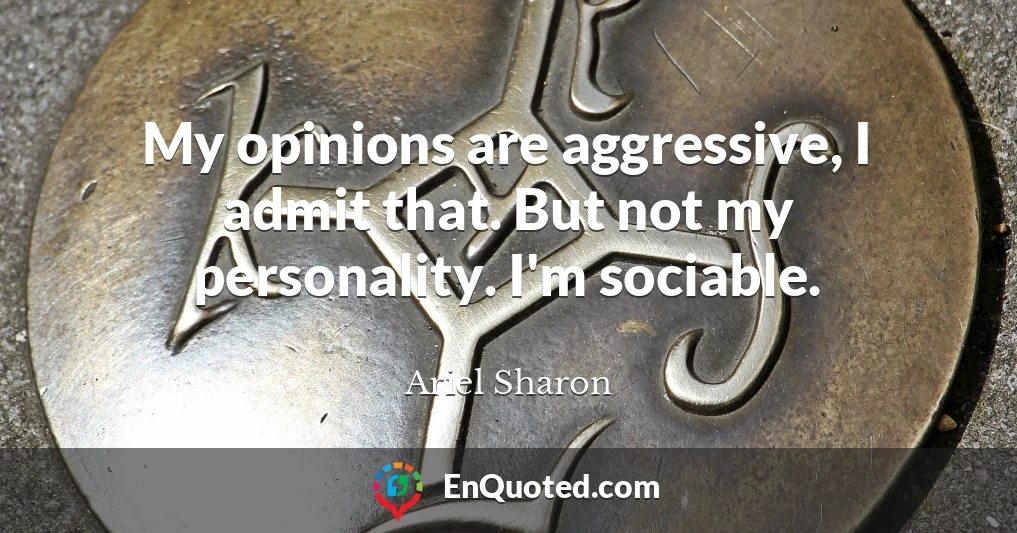 My opinions are aggressive, I admit that. But not my personality. I'm sociable.
