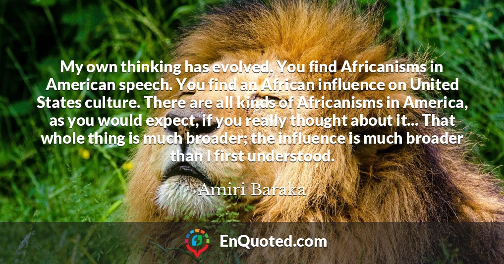 My own thinking has evolved. You find Africanisms in American speech. You find an African influence on United States culture. There are all kinds of Africanisms in America, as you would expect, if you really thought about it... That whole thing is much broader; the influence is much broader than I first understood.