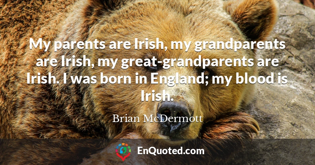 My parents are Irish, my grandparents are Irish, my great-grandparents are Irish. I was born in England; my blood is Irish.