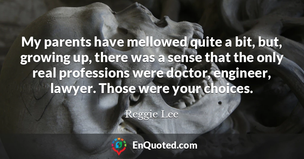 My parents have mellowed quite a bit, but, growing up, there was a sense that the only real professions were doctor, engineer, lawyer. Those were your choices.