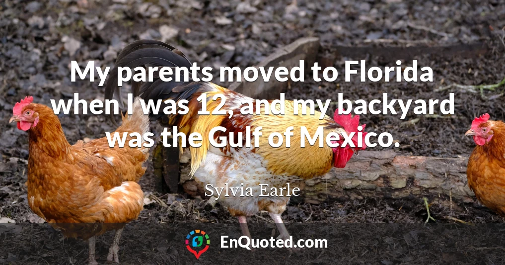 My parents moved to Florida when I was 12, and my backyard was the Gulf of Mexico.