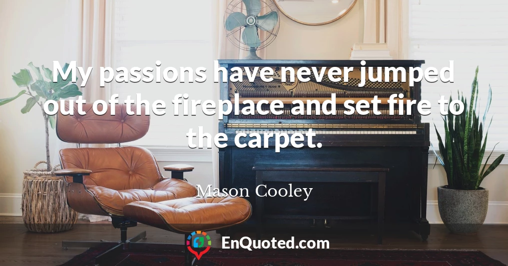 My passions have never jumped out of the fireplace and set fire to the carpet.