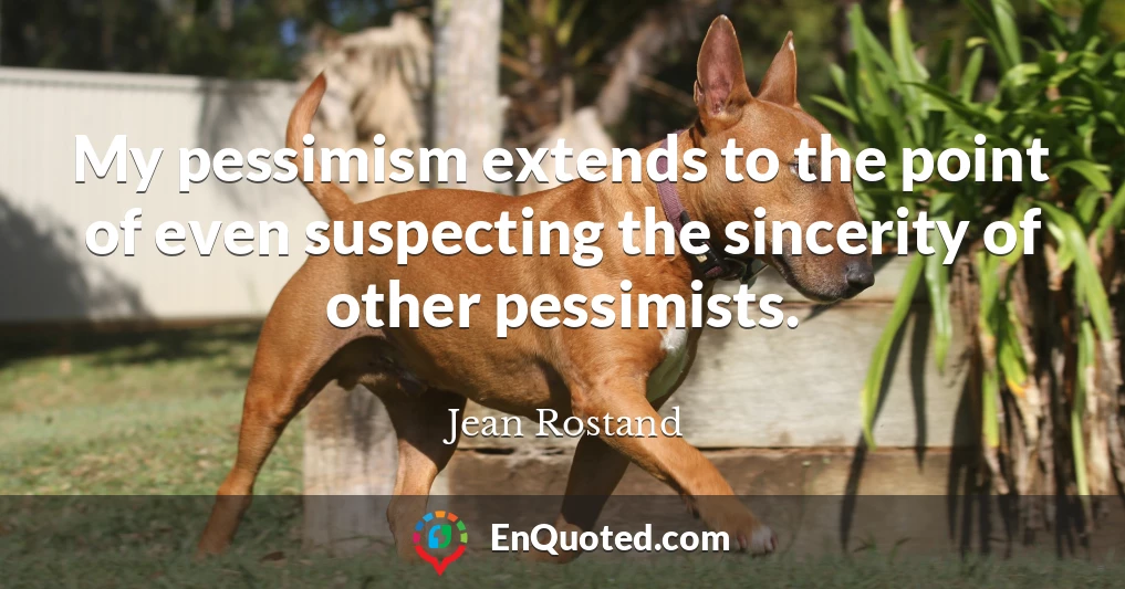 My pessimism extends to the point of even suspecting the sincerity of other pessimists.