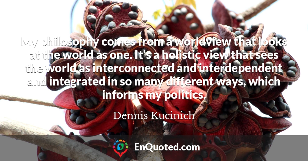 My philosophy comes from a worldview that looks at the world as one. It's a holistic view that sees the world as interconnected and interdependent and integrated in so many different ways, which informs my politics.