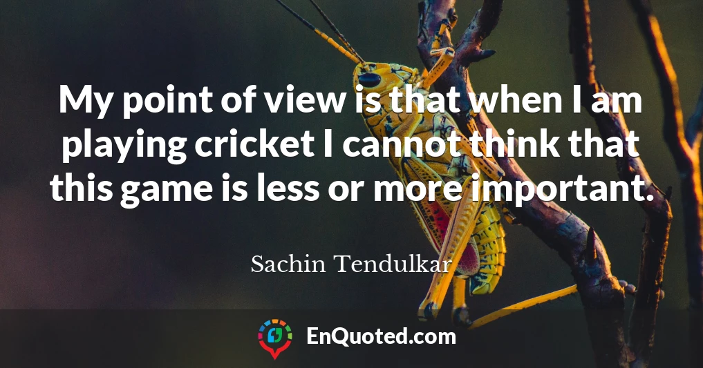 My point of view is that when I am playing cricket I cannot think that this game is less or more important.