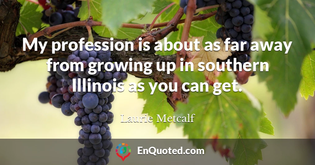 My profession is about as far away from growing up in southern Illinois as you can get.